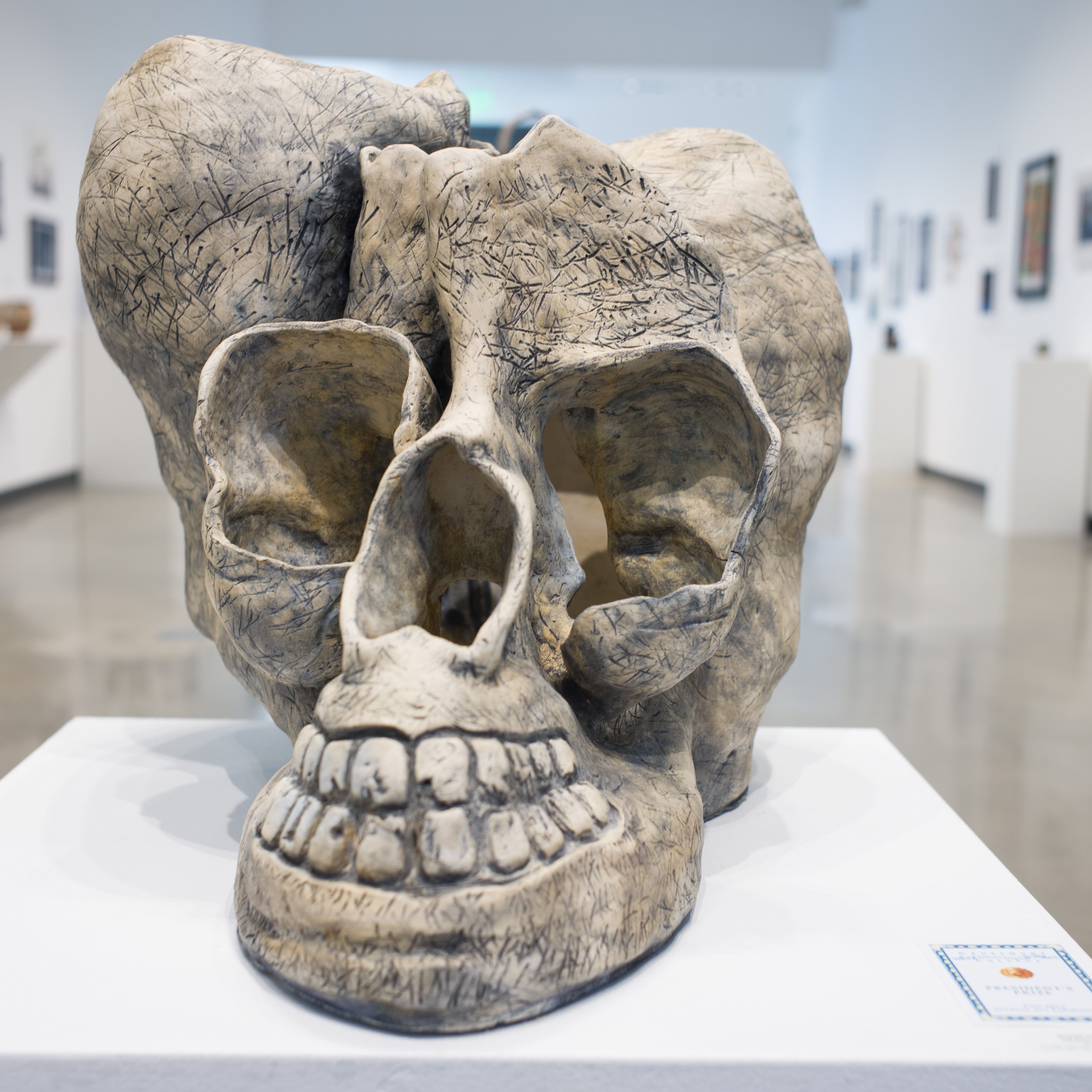 A large, detailed skull sculpture displayed on a pedestal in an art gallery, featuring intricate markings and textures, with an exhibition atmosphere in the background.